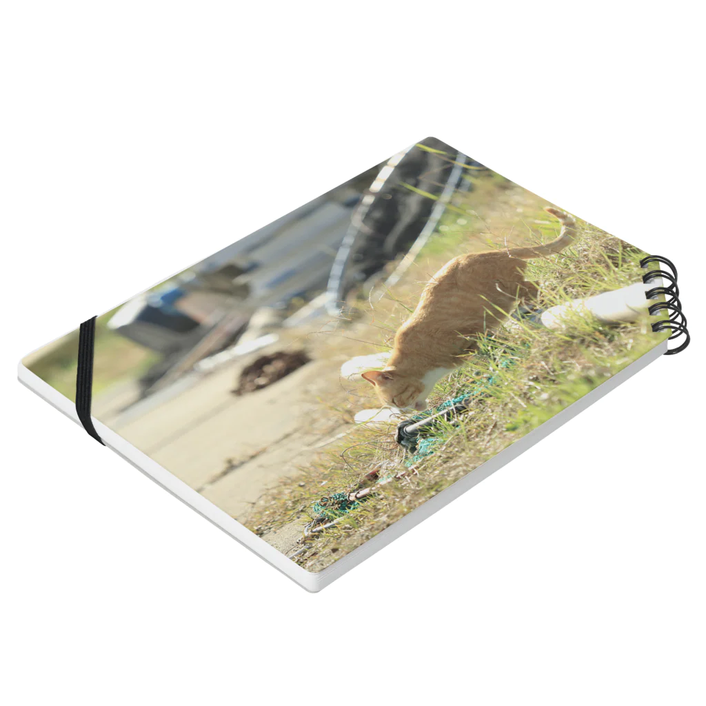 くりごはんのねこ Notebook :placed flat