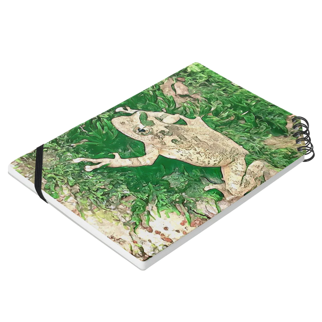 Fantastic FrogのFantastic Frog -Evergreen Version- Notebook :placed flat
