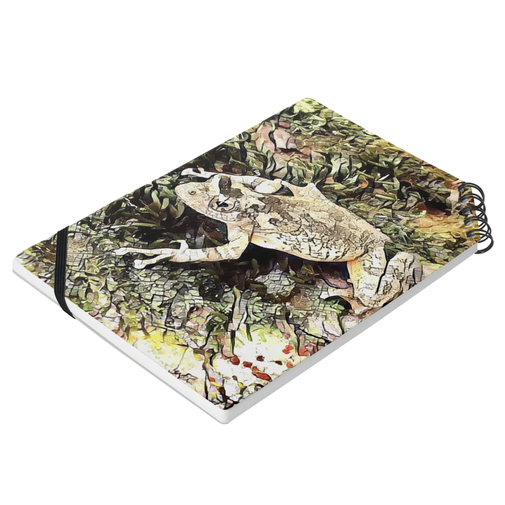 Fantastic FrogのFantastic Frog -Dry Moss Version- 노트の平置き