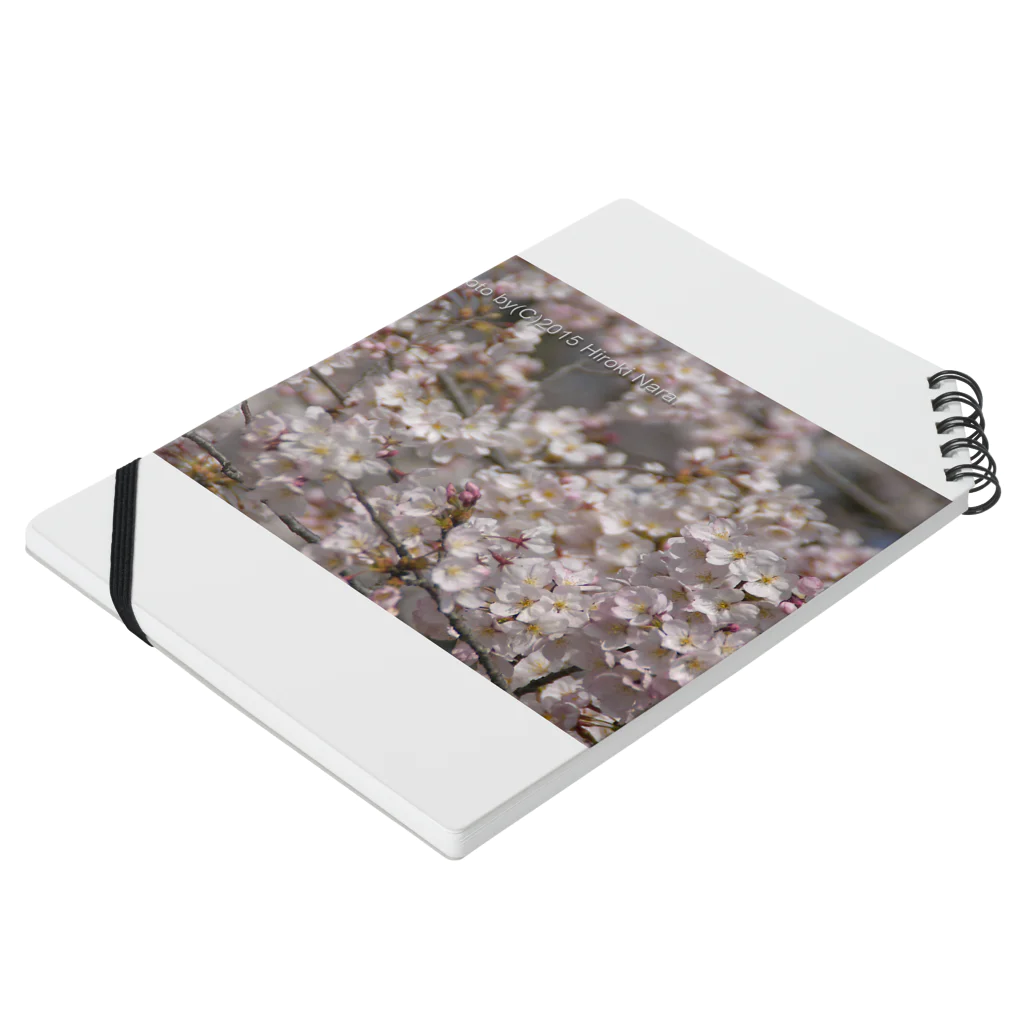 hiroki-naraの光景　sight0053　桜　2015_009　サクラ ノートの平置き