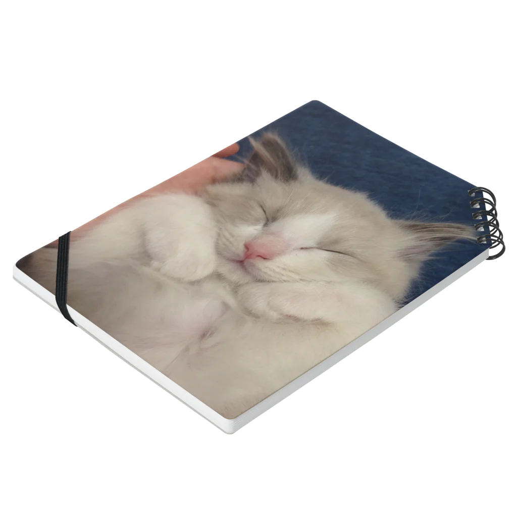 makinboの眠るねこ。ちびつみれ Notebook :placed flat