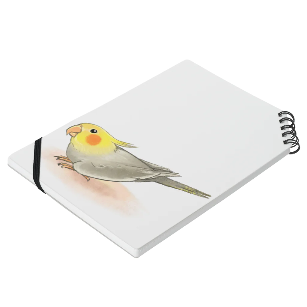 まめるりはことりのオカメインコ　レキ【まめるりはことり】 Notebook :placed flat