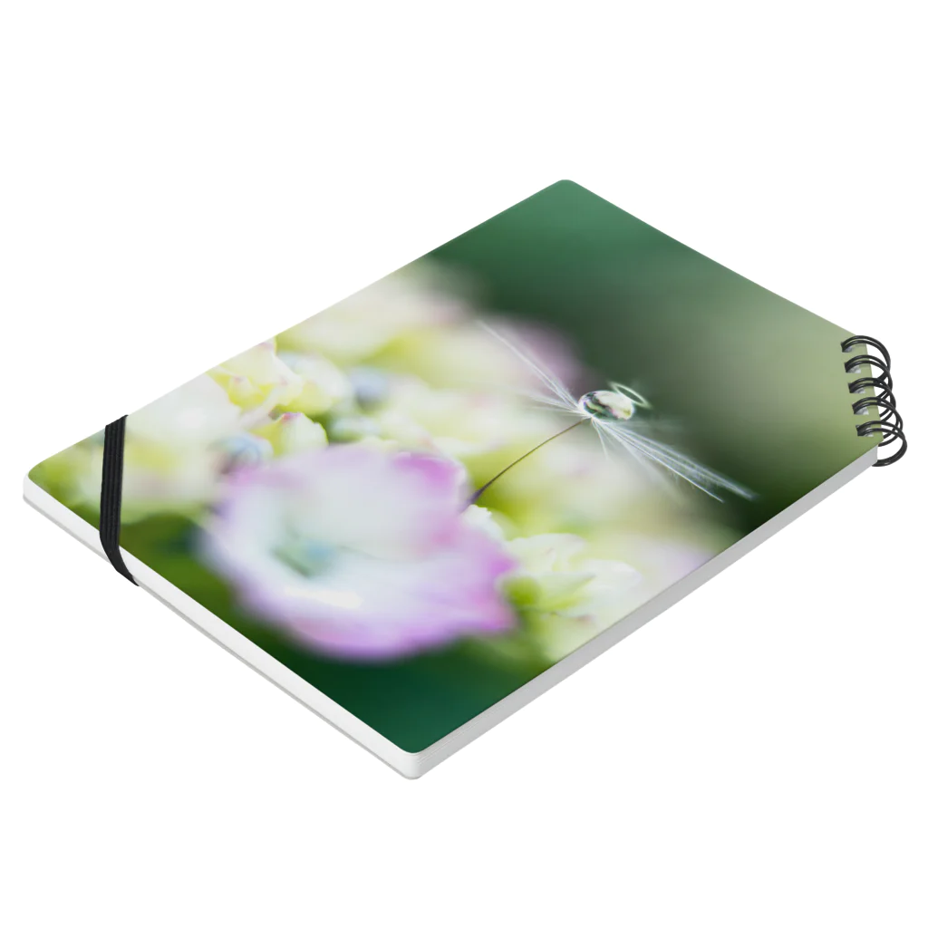 PhotoAtelier Aileのangel of hydrangea 170603 Notebook :placed flat