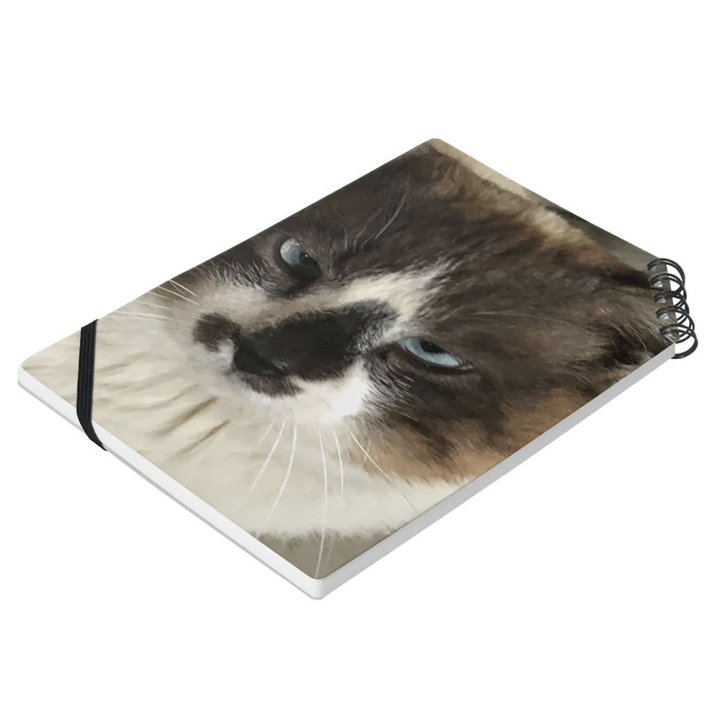 つかたんのワル猫 Notebook :placed flat