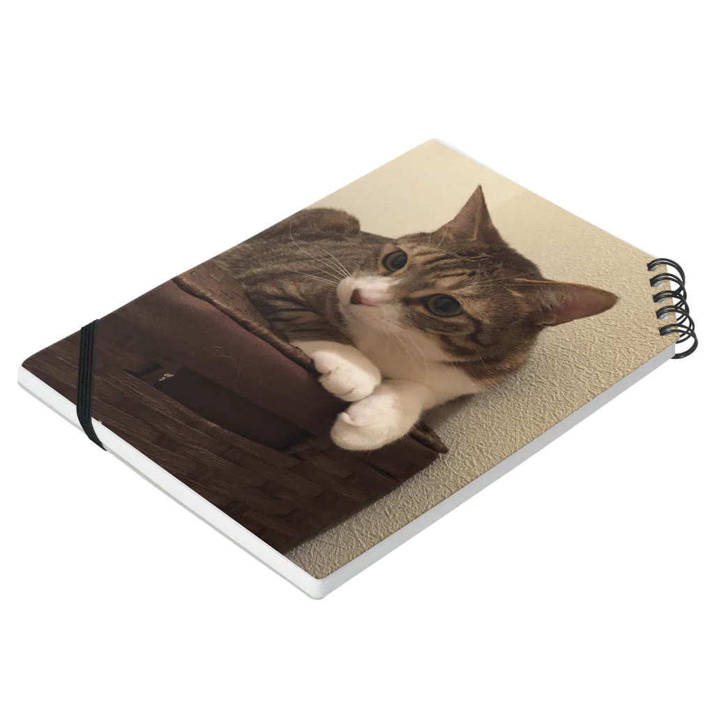 ねこまる広場のらいちくん Notebook :placed flat