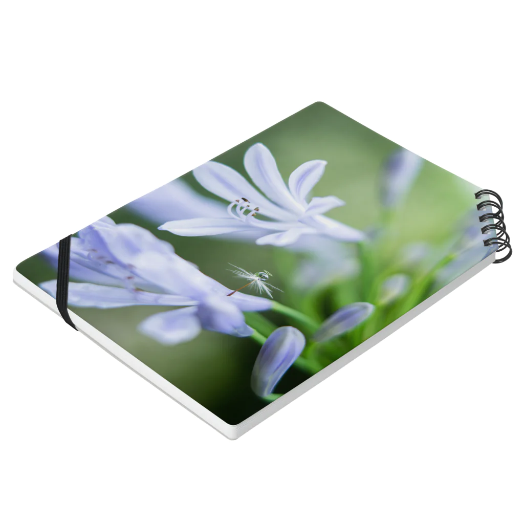 PhotoAtelier AileのAngel of Agapanthus 170702 Notebook :placed flat