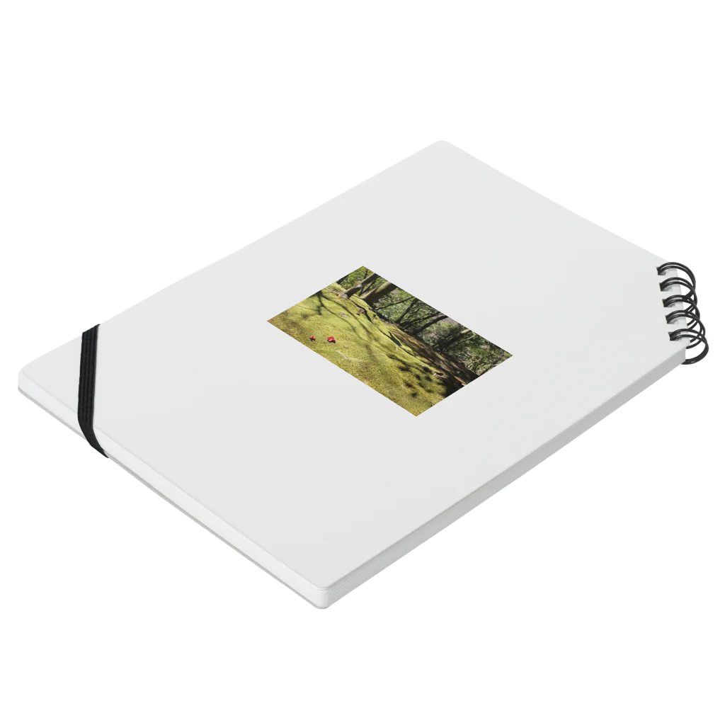 Photoshopの苔萌え Notebook :placed flat