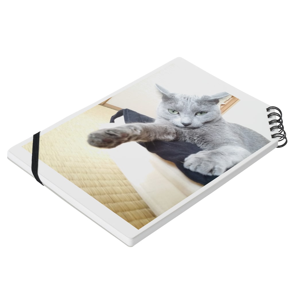 猫子の畳猫。 Notebook :placed flat