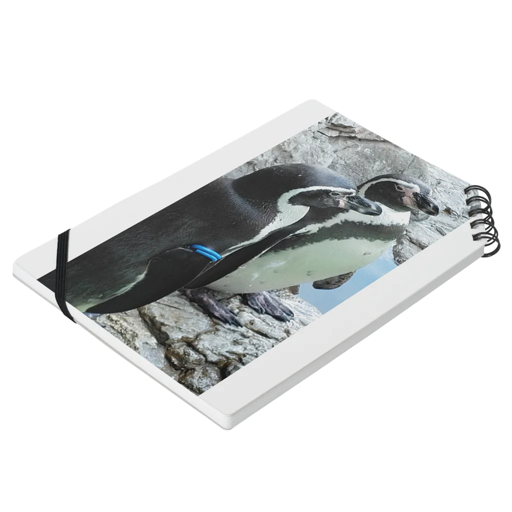 天然極楽鳥のペンギン兄弟 Notebook :placed flat