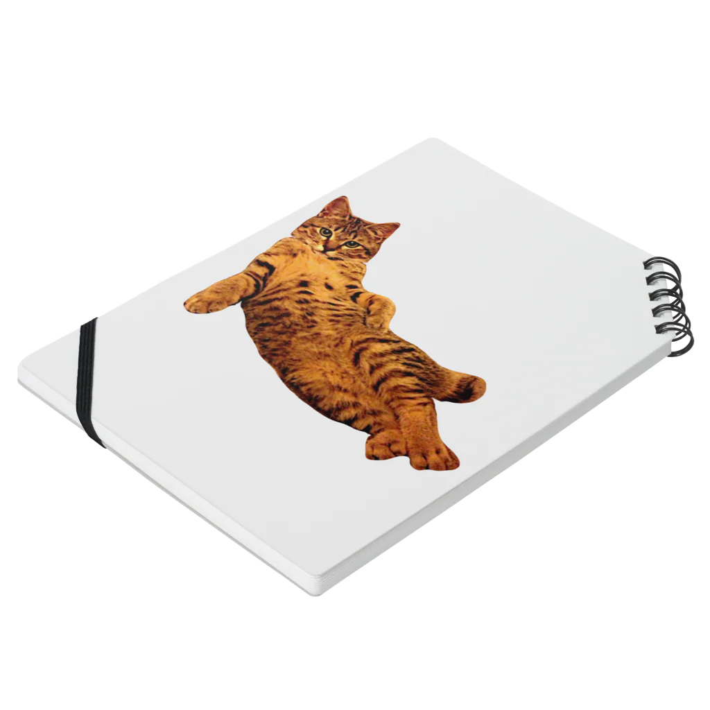 Elegant CatのElegant Cat ① Notebook :placed flat