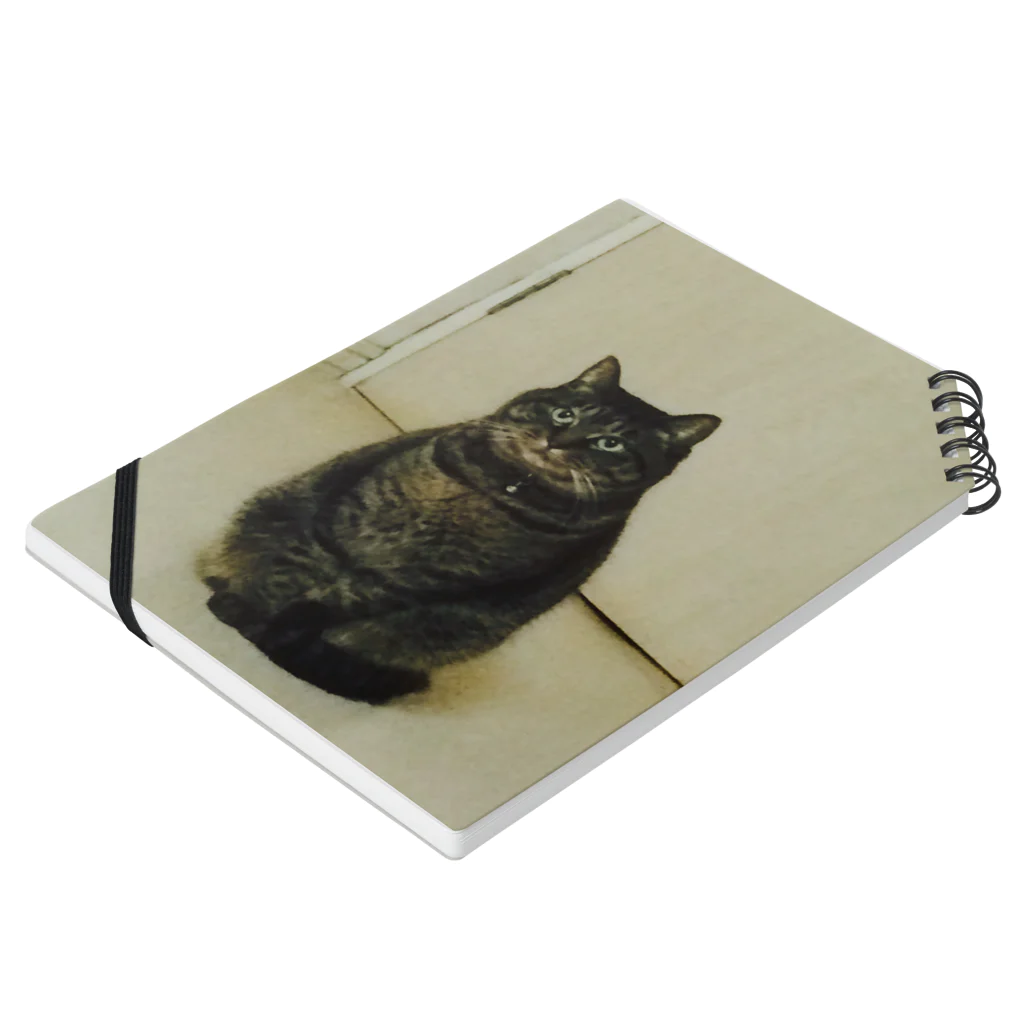 まるねこつくばのまるねこつくば Notebook :placed flat