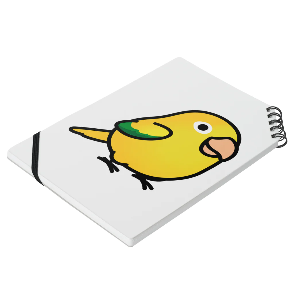 Cody the LovebirdのChubby Bird ニョオウインコ Notebook :placed flat