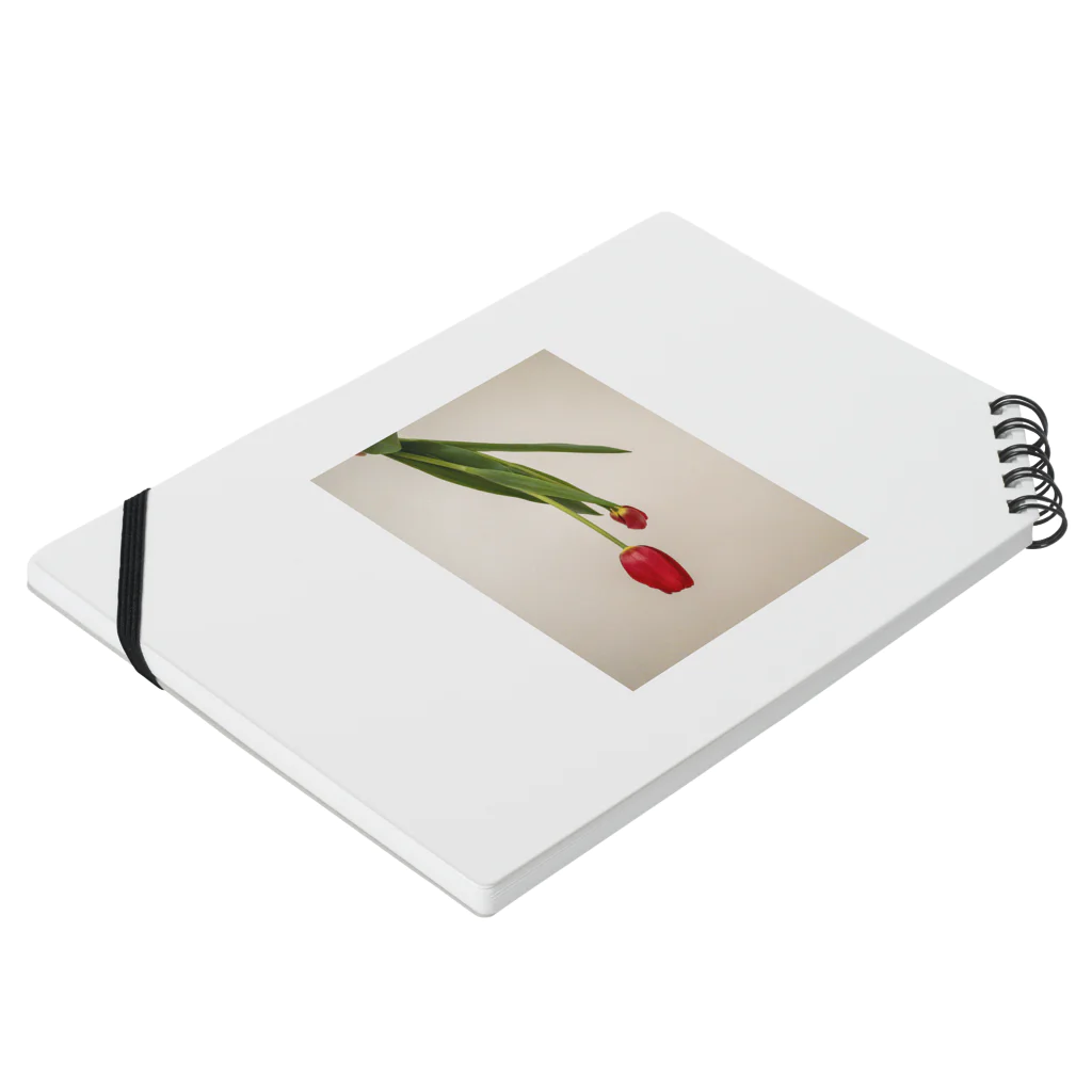 花の文具屋さんのred tulips  Notebook :placed flat