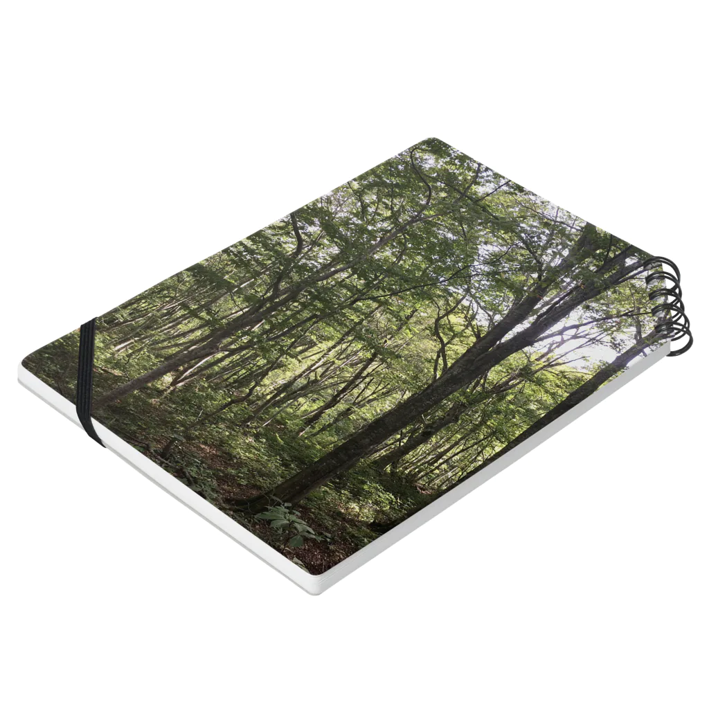 Nickel13の森 Notebook :placed flat