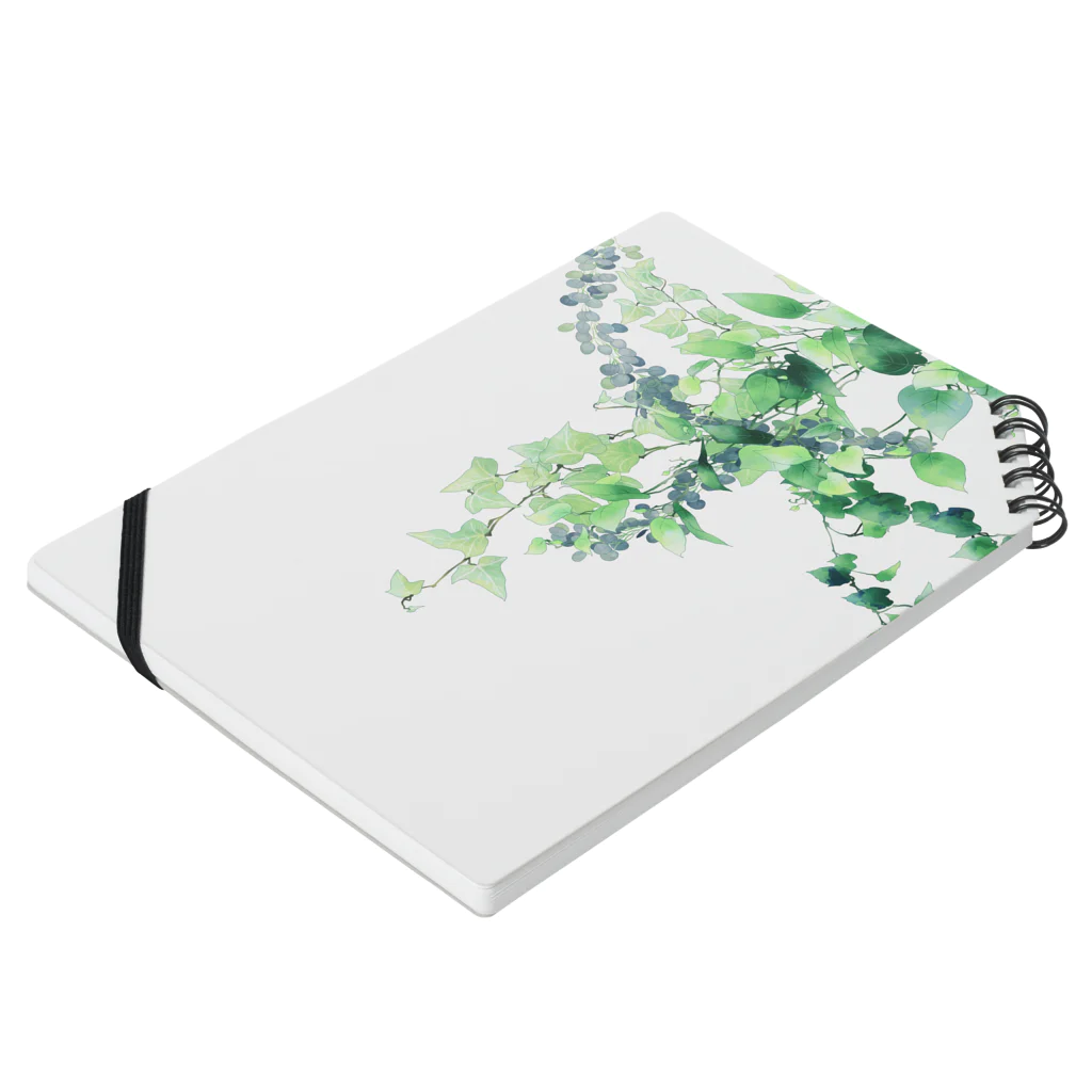 すねこすりの観葉植物🌱ブルー ノートの平置き