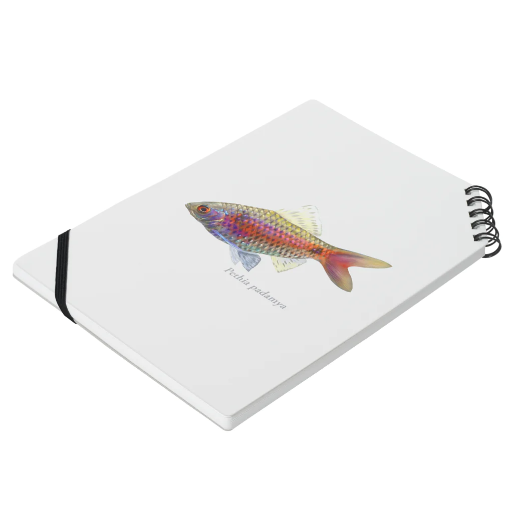 応魚のオデッサバルブ３ Notebook :placed flat