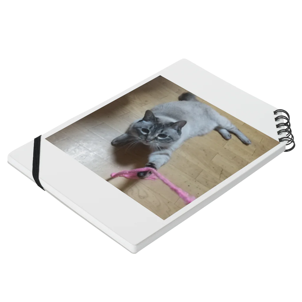 jessicamieのみ―ちゃん🐱 Notebook :placed flat