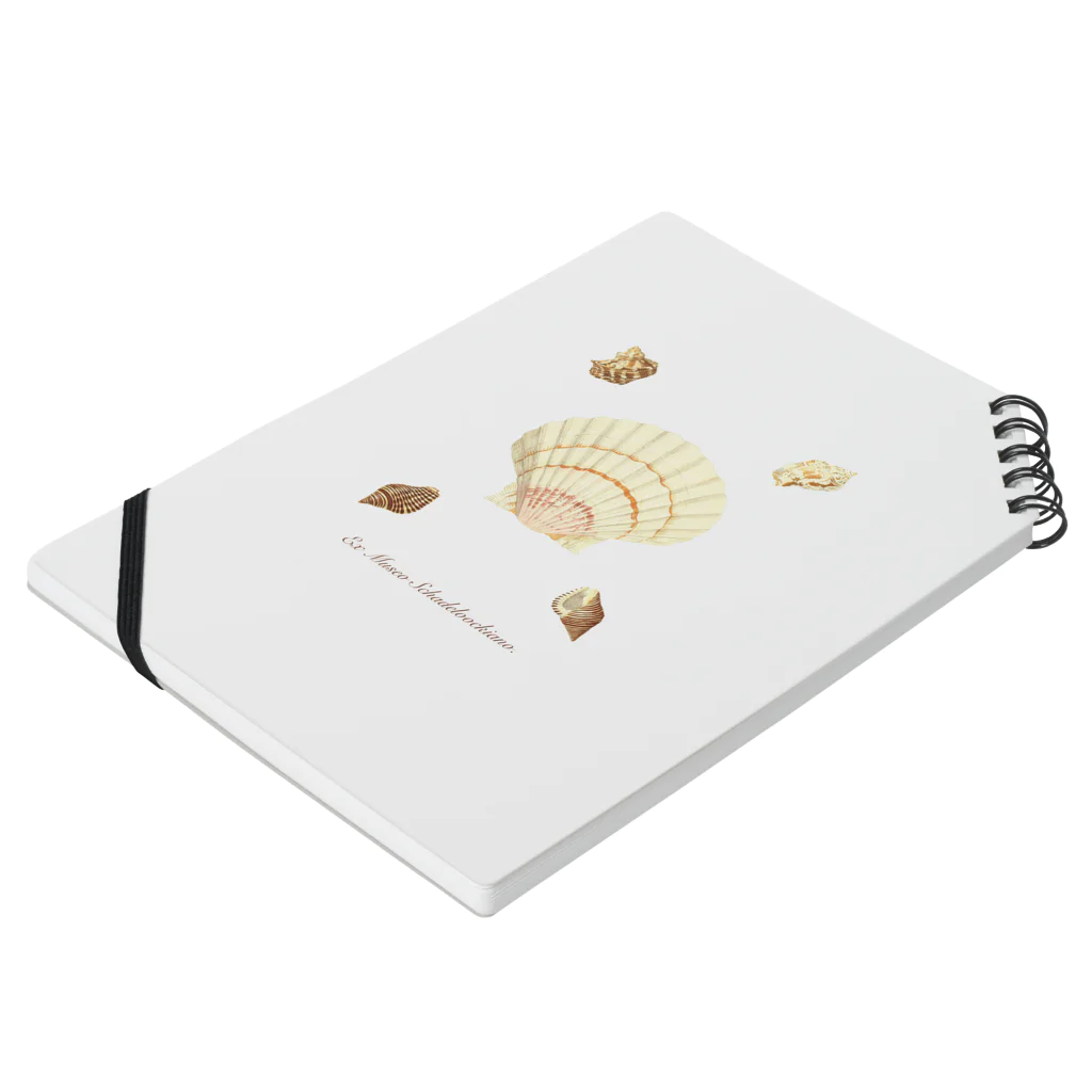 mincora.の貝がら seashells Notebook :placed flat