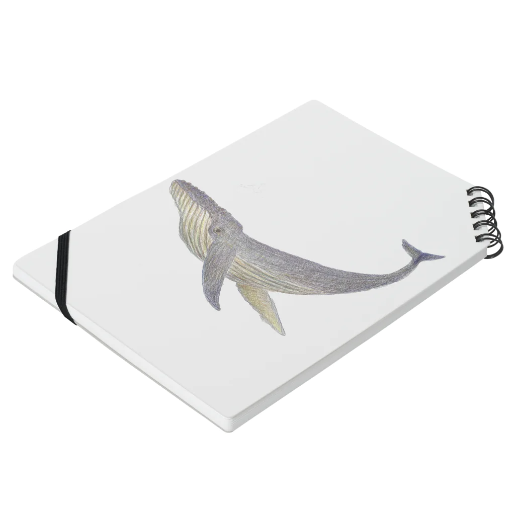 古生物科学雑貨のシロナガスクジラ Notebook :placed flat