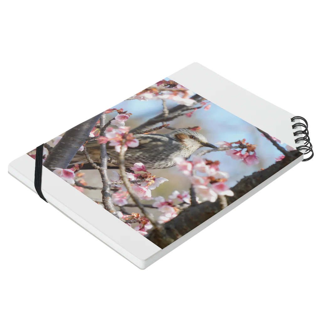 とりどり舎の桜とヒヨドリ Notebook :placed flat