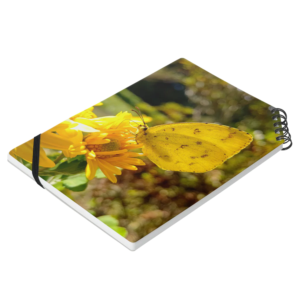 六号商店の花とキタキチョウ Notebook :placed flat