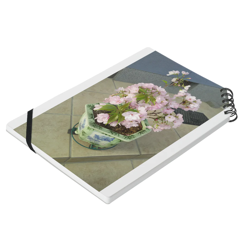 蓮花な日々 猫とお花たちの桜柄 Notebook :placed flat