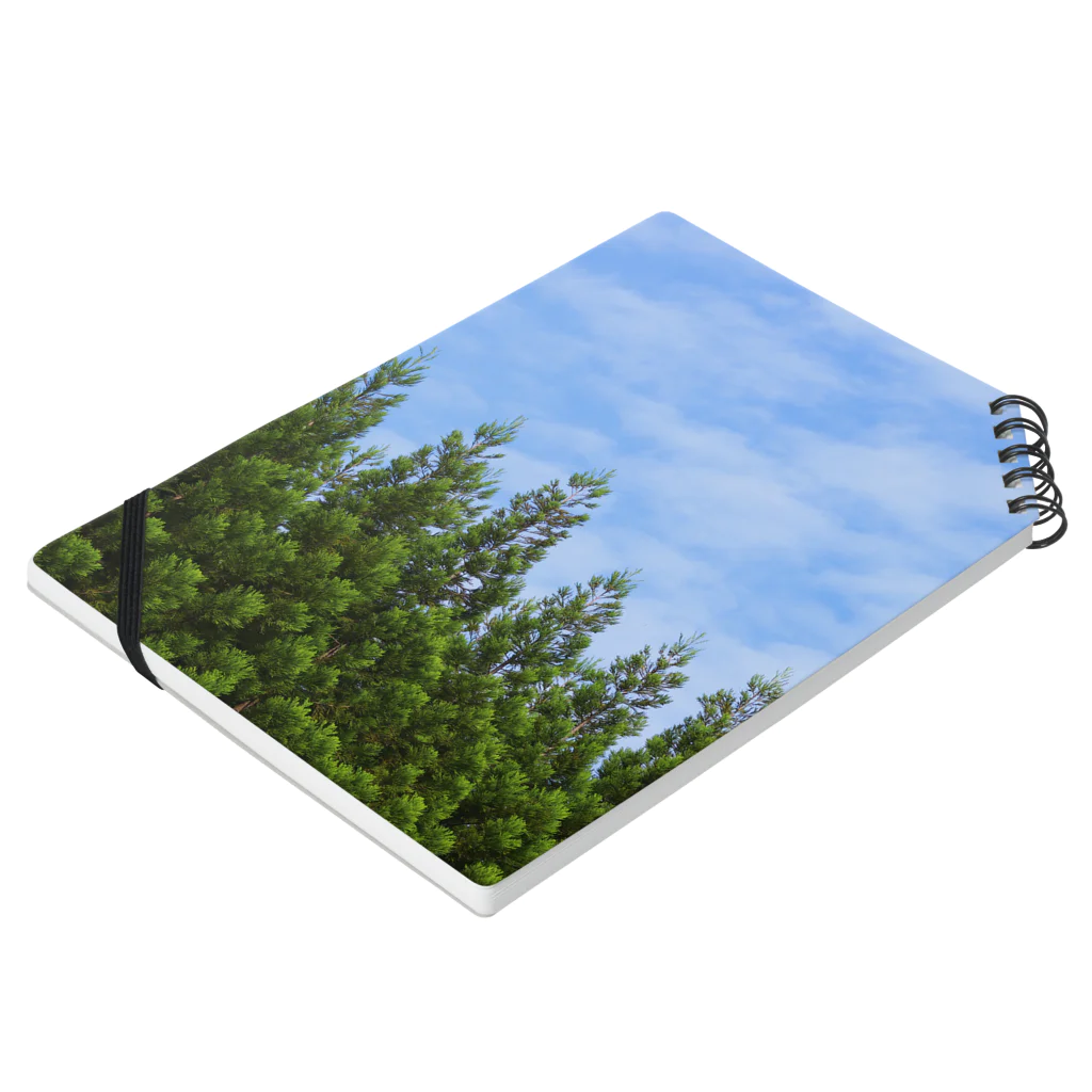 柚葉 / Yuzuha【公式】の青空と針葉樹【自主撮影写真使用】 ノートの平置き