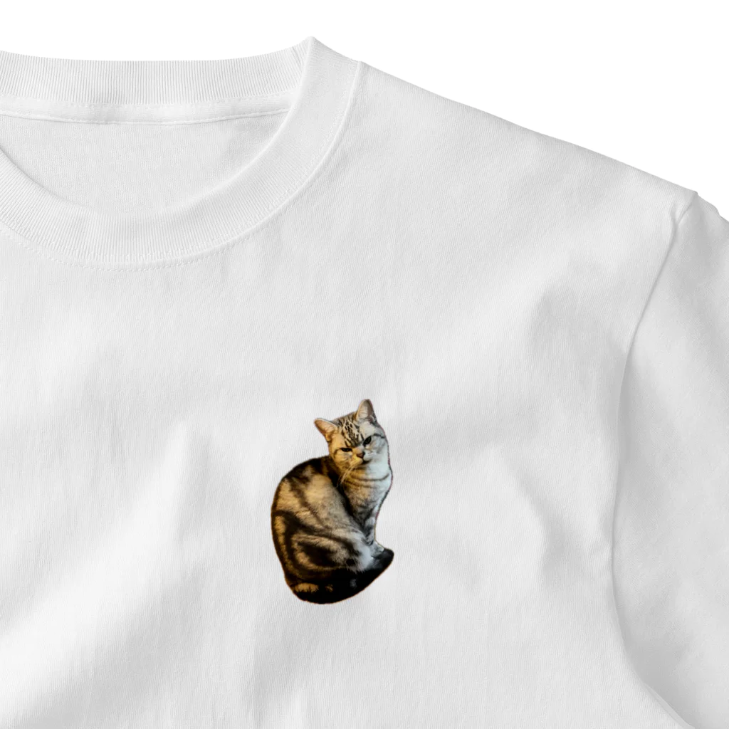 うちの猫ちゃんたちのガン飛ばしとらと ワンポイントTシャツ