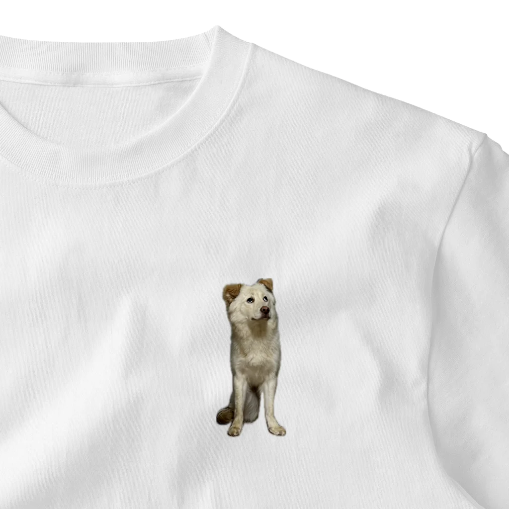 こまちところも、柴犬と雑種のおもろい雑種ころもT One Point T-Shirt