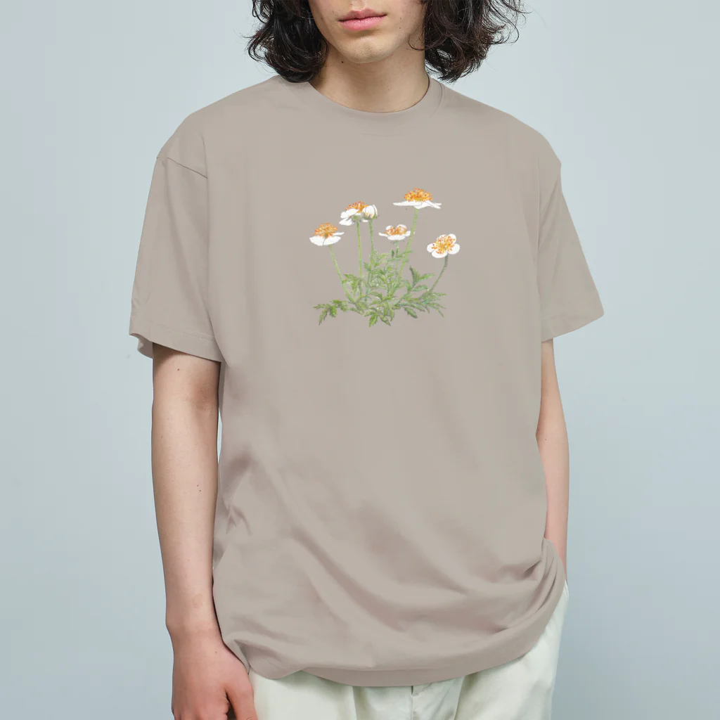 Atelier Penのチングルマさん Organic Cotton T-Shirt