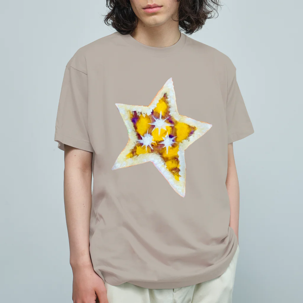 🐶シュナといろいろ🎨のきらきら星⭐︎ オーガニックコットンTシャツ