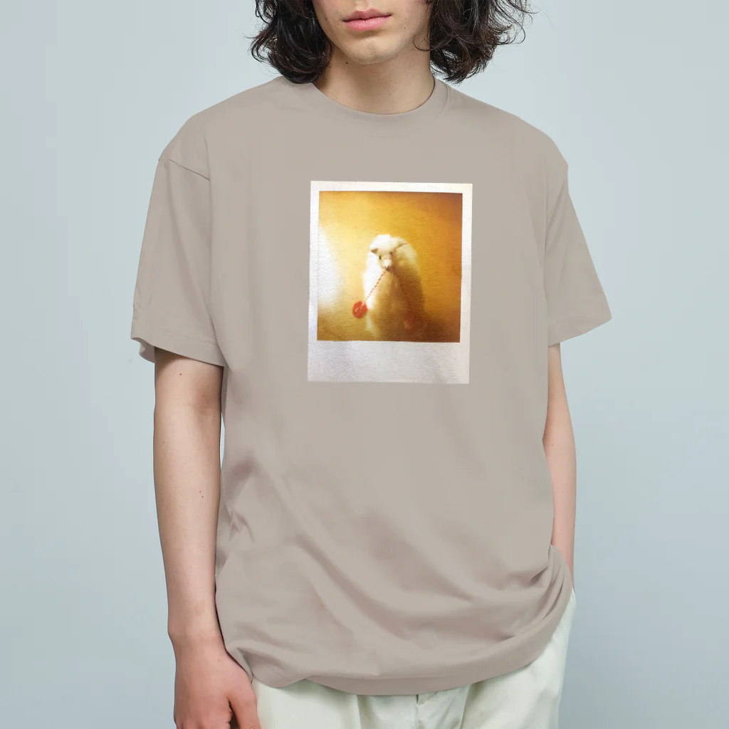 わらしゃんどのポラロイド写真（アルパカ） オーガニックコットンTシャツ