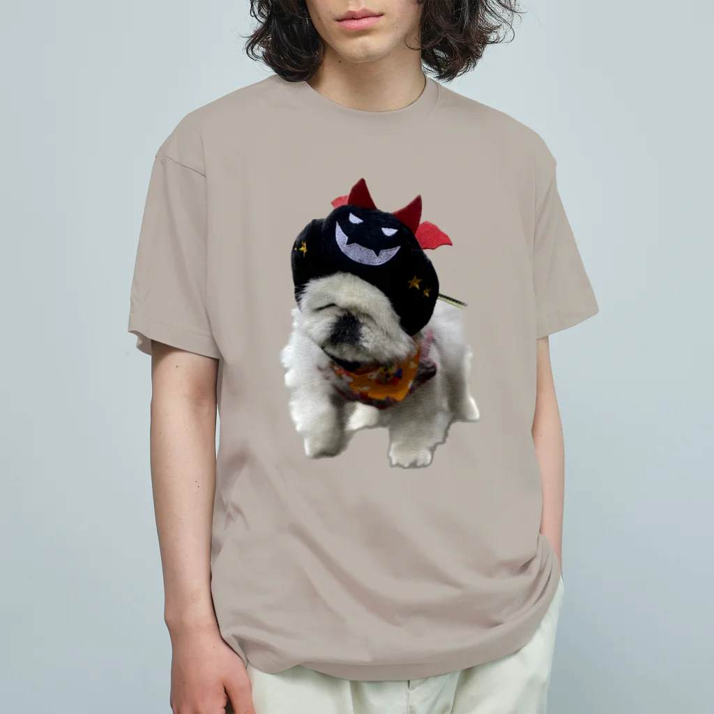 かみなりんのこはくんいち オーガニックコットンTシャツ