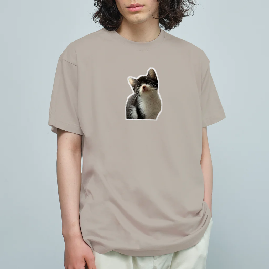 nekousagi*∩..∩の保護猫Pちゃん【ロゴなし】 オーガニックコットンTシャツ