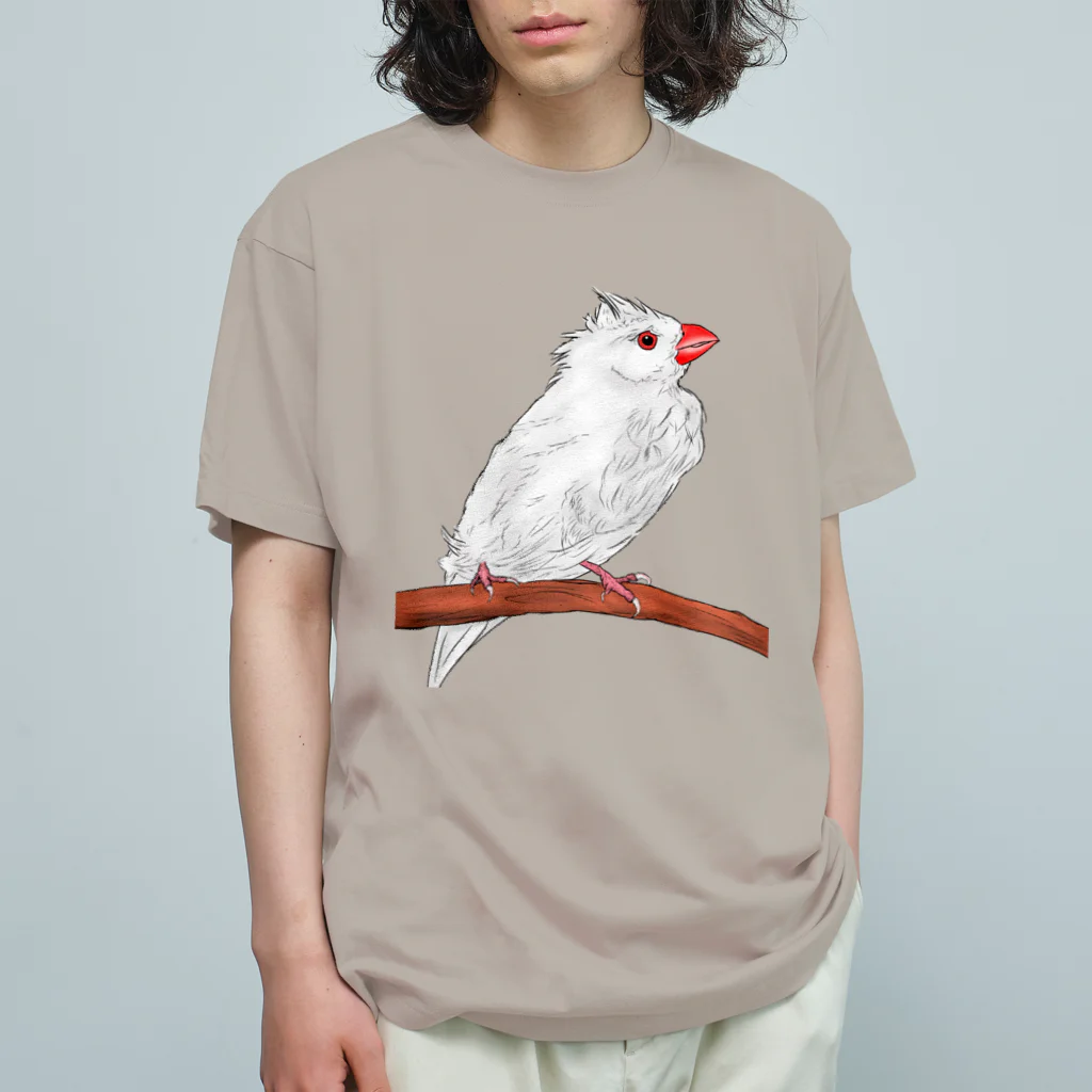Lily bird（リリーバード）の水浴び文鳥 カラー オーガニックコットンTシャツ