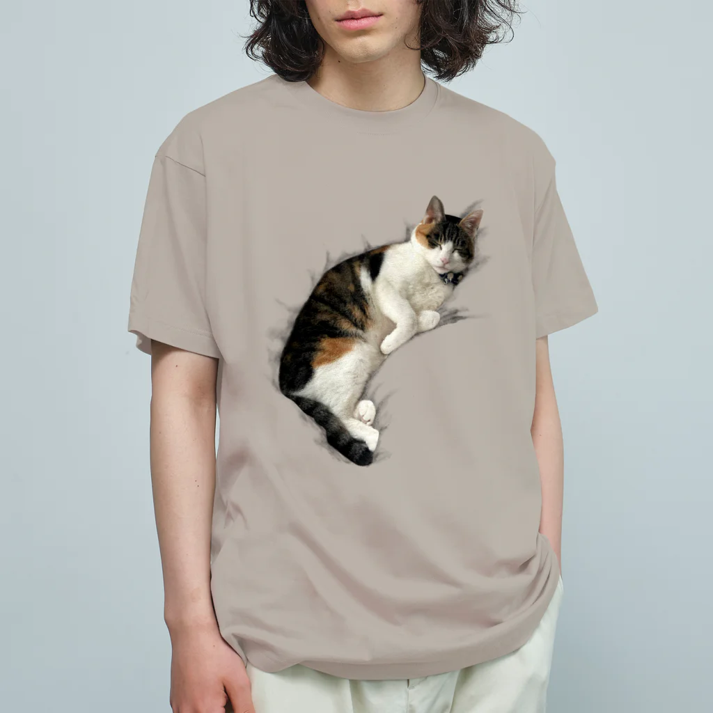 とある三匹の猫のねむる猫 オーガニックコットンTシャツ