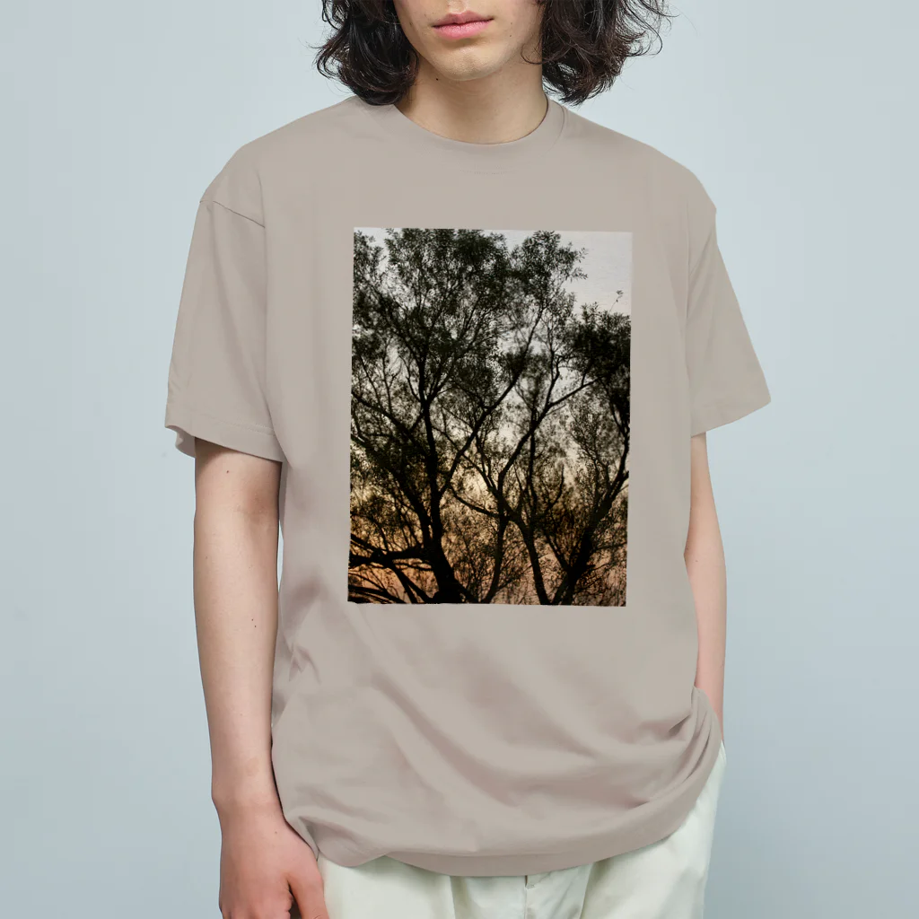 suparnaの夕方の林の中で Organic Cotton T-Shirt