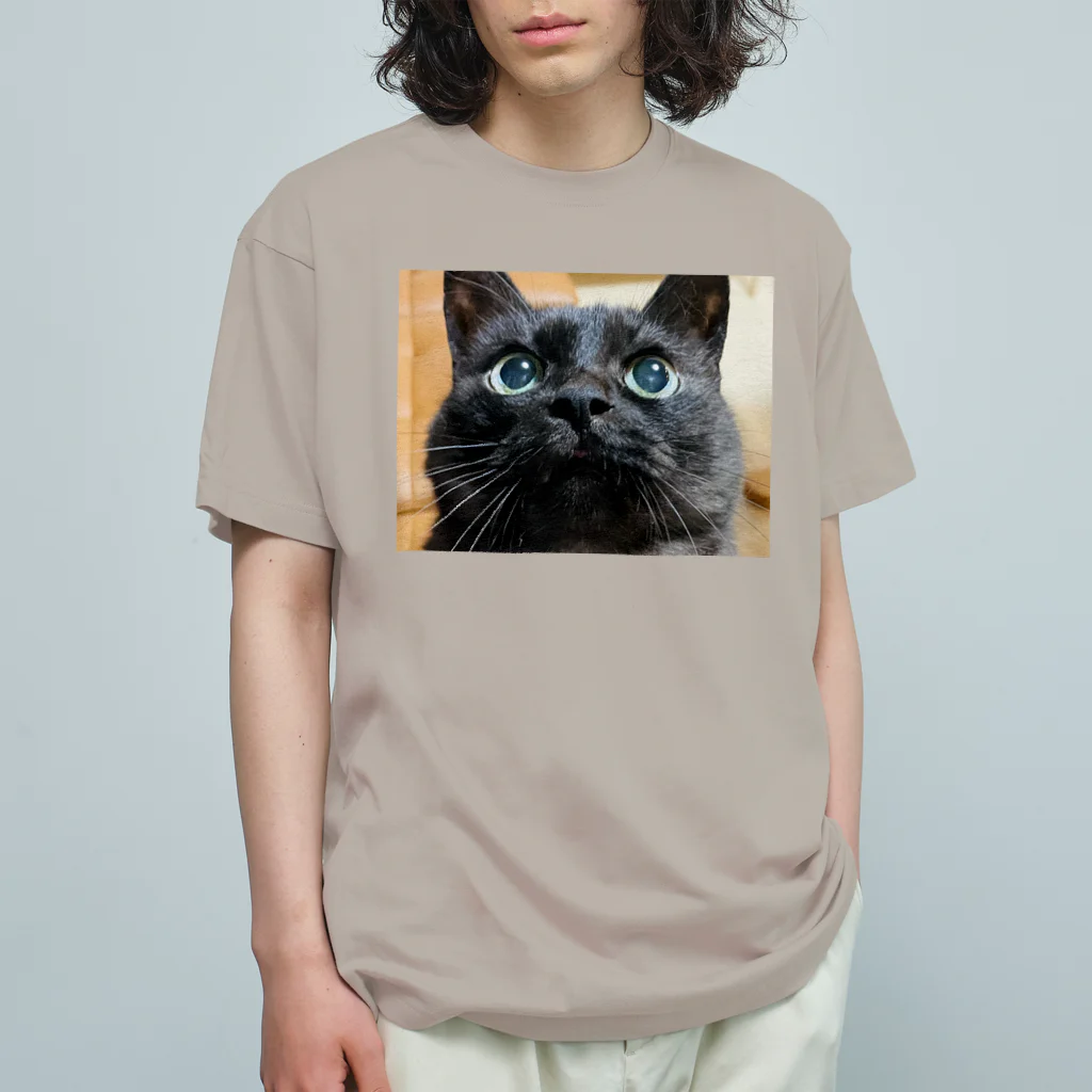 calling_catの黒猫のわりにそんなに黒くない黒猫のかげちよくん オーガニックコットンTシャツ