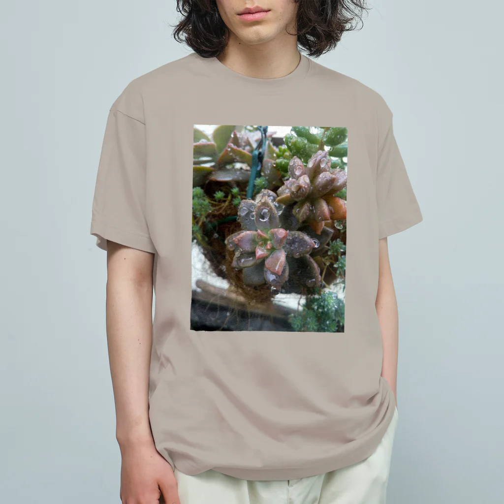 ミクロの雨の中の多肉植物 Organic Cotton T-Shirt