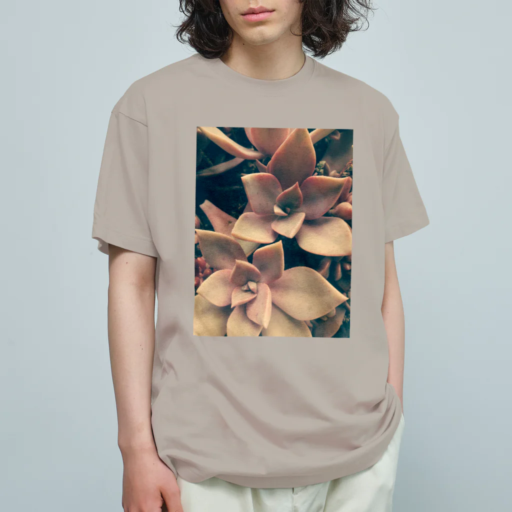 ミクロの多肉植物の初恋 オーガニックコットンTシャツ