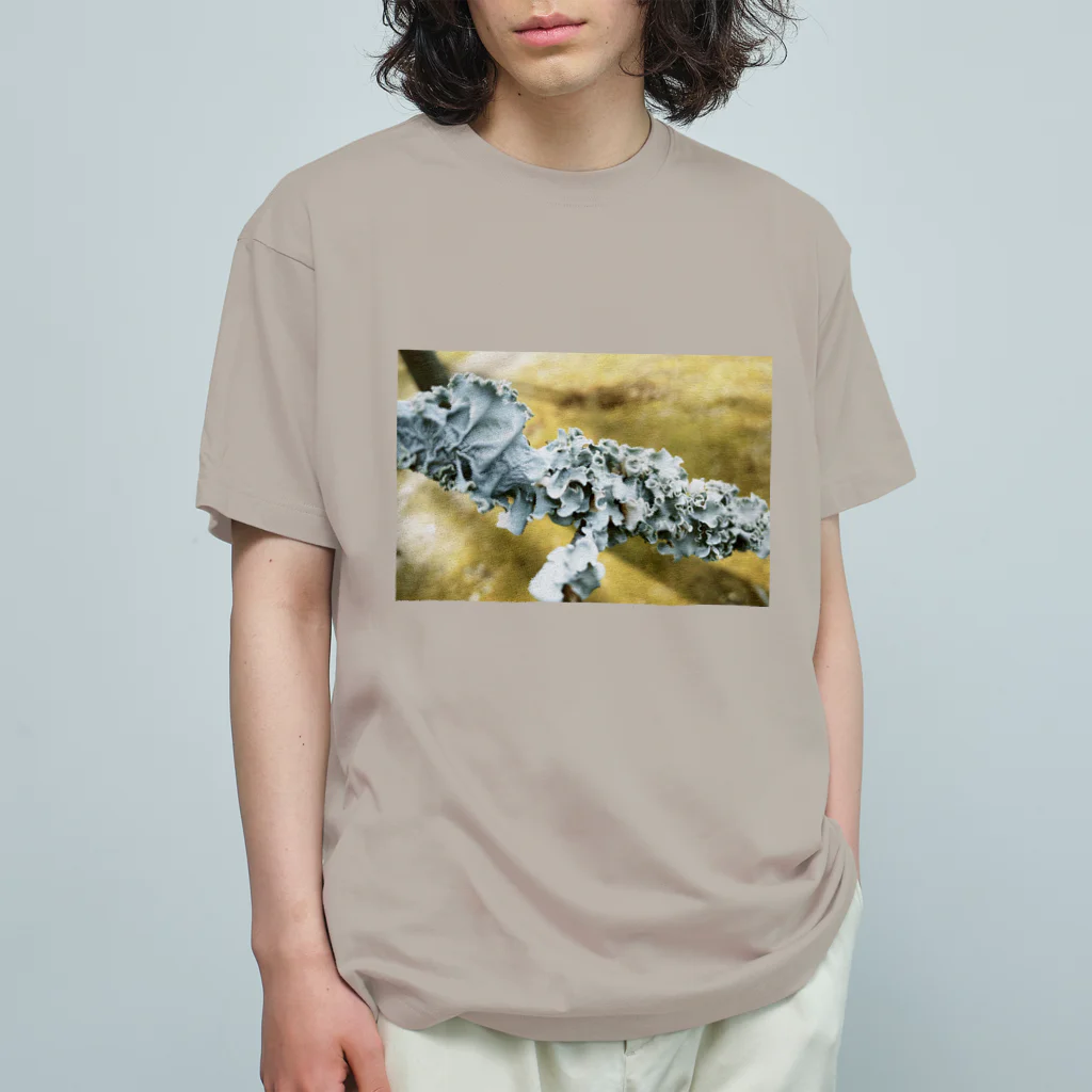 chiiruiの地衣類 Organic Cotton T-Shirt