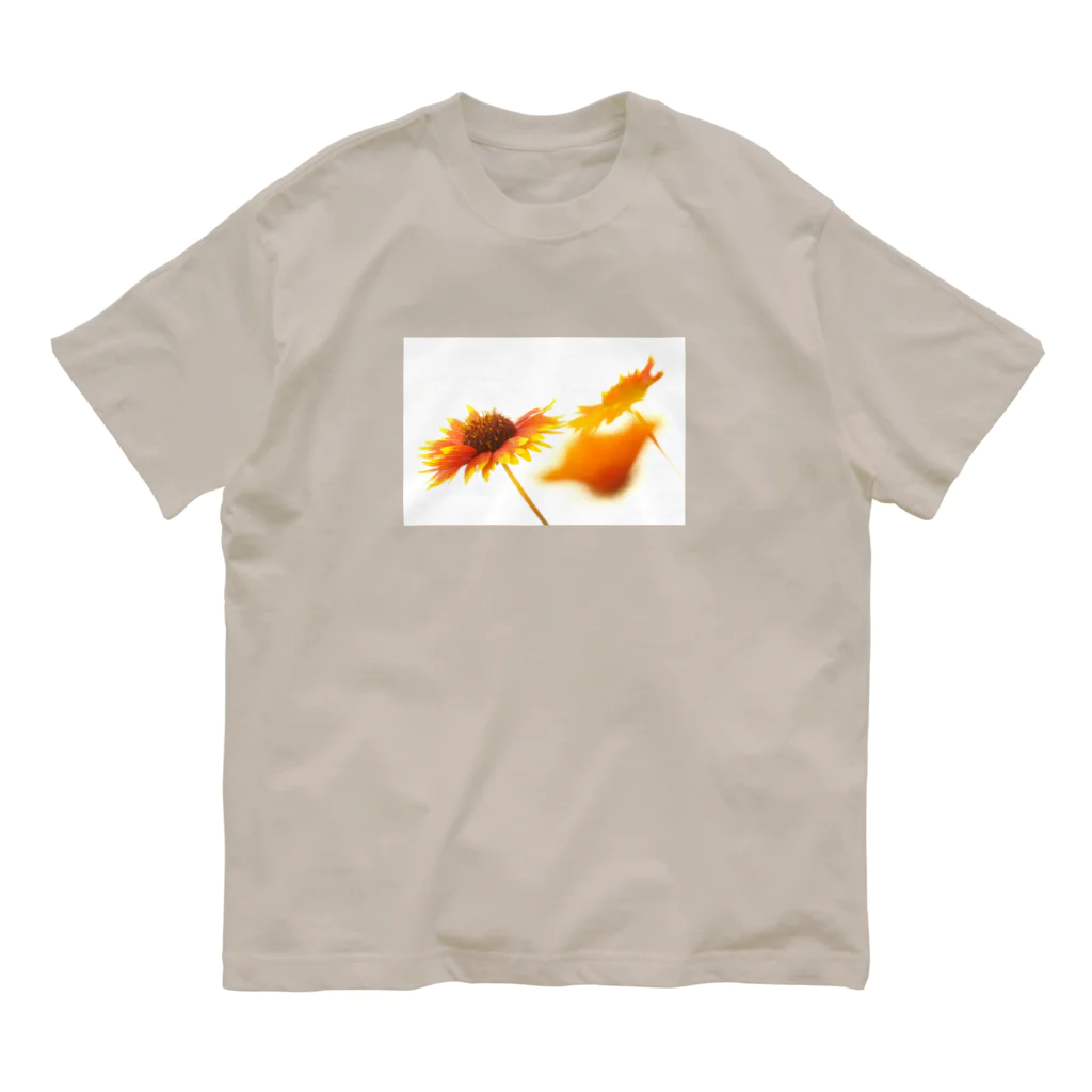 Petal N' Featherのあまくとける オーガニックコットンTシャツ