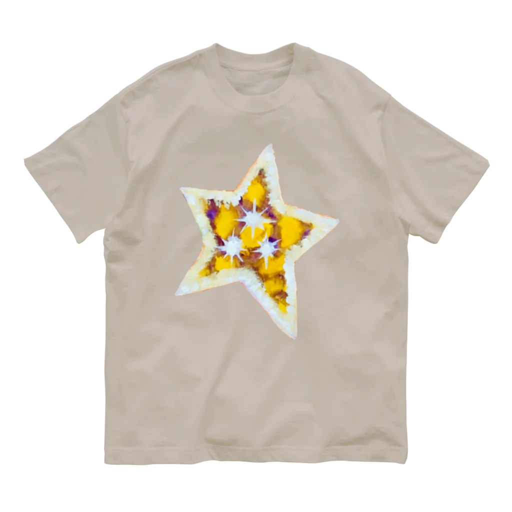 🐶シュナといろいろ🎨のきらきら星⭐︎ オーガニックコットンTシャツ