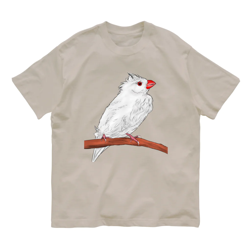 Lily bird（リリーバード）の水浴び文鳥 カラー Organic Cotton T-Shirt