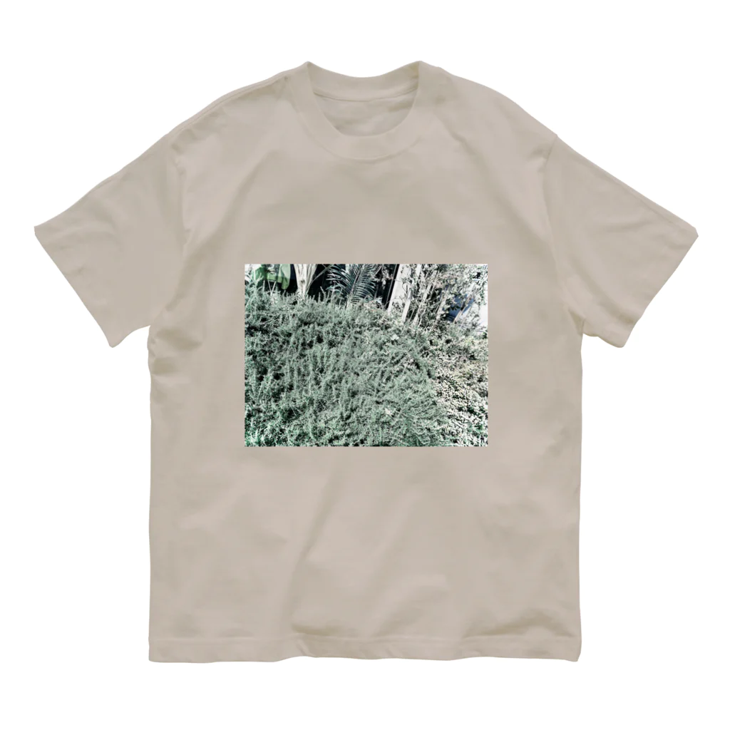 とろろ∞☺︎のplants オーガニックコットンTシャツ