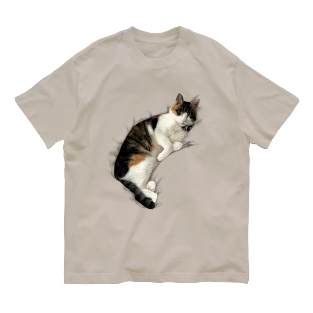 とある三匹の猫のねむる猫 オーガニックコットンTシャツ