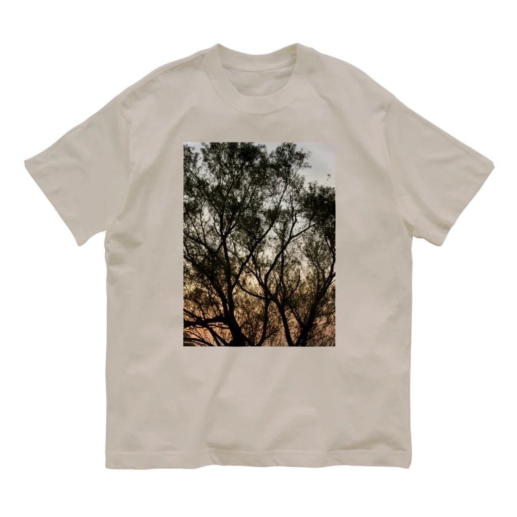 suparnaの夕方の林の中で Organic Cotton T-Shirt