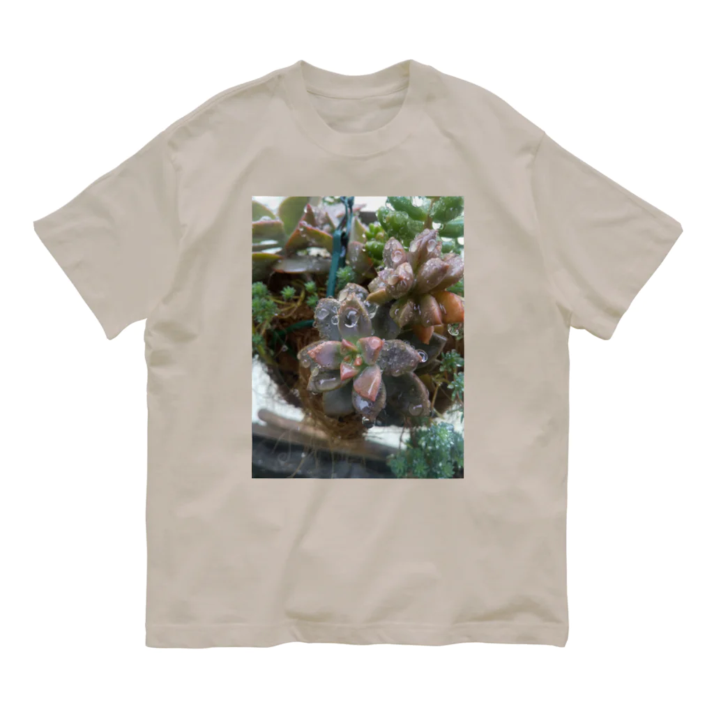 ミクロの雨の中の多肉植物 Organic Cotton T-Shirt