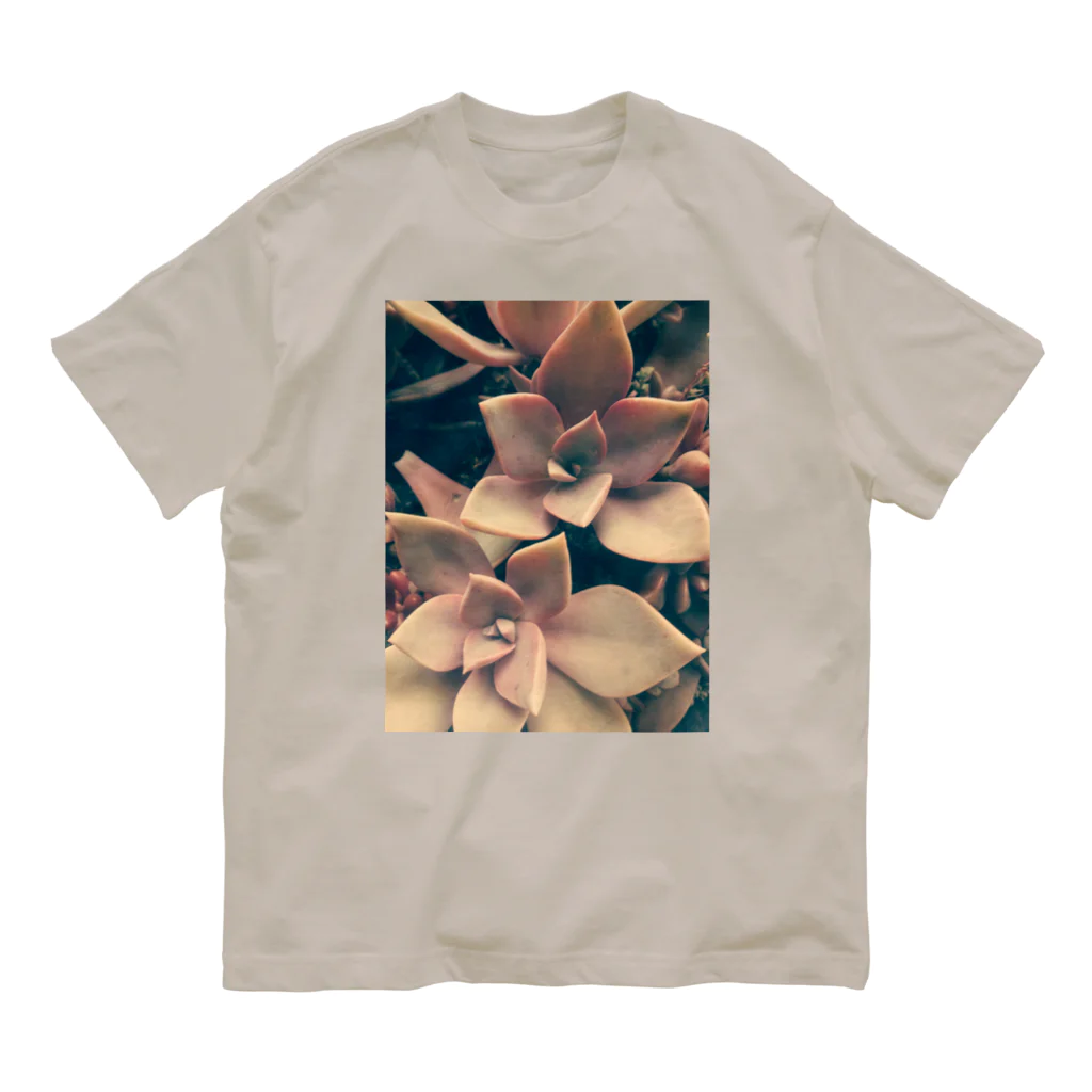 ミクロの多肉植物の初恋 Organic Cotton T-Shirt