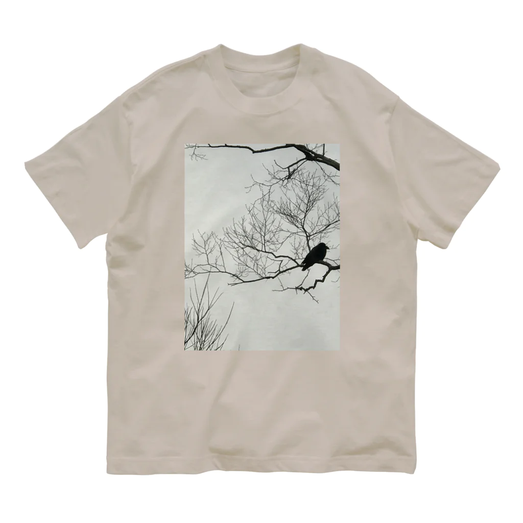 空屋　sorayakusakaの202012300958002　寒烏 オーガニックコットンTシャツ